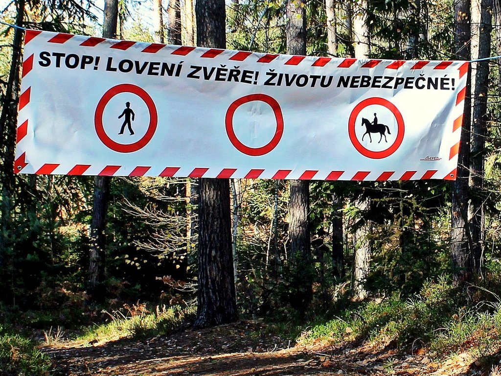 Stop! Lov zvěře