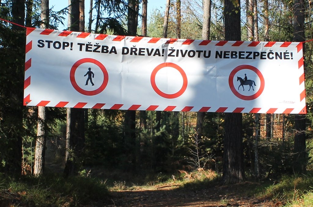 Stop! Těžba dřeva