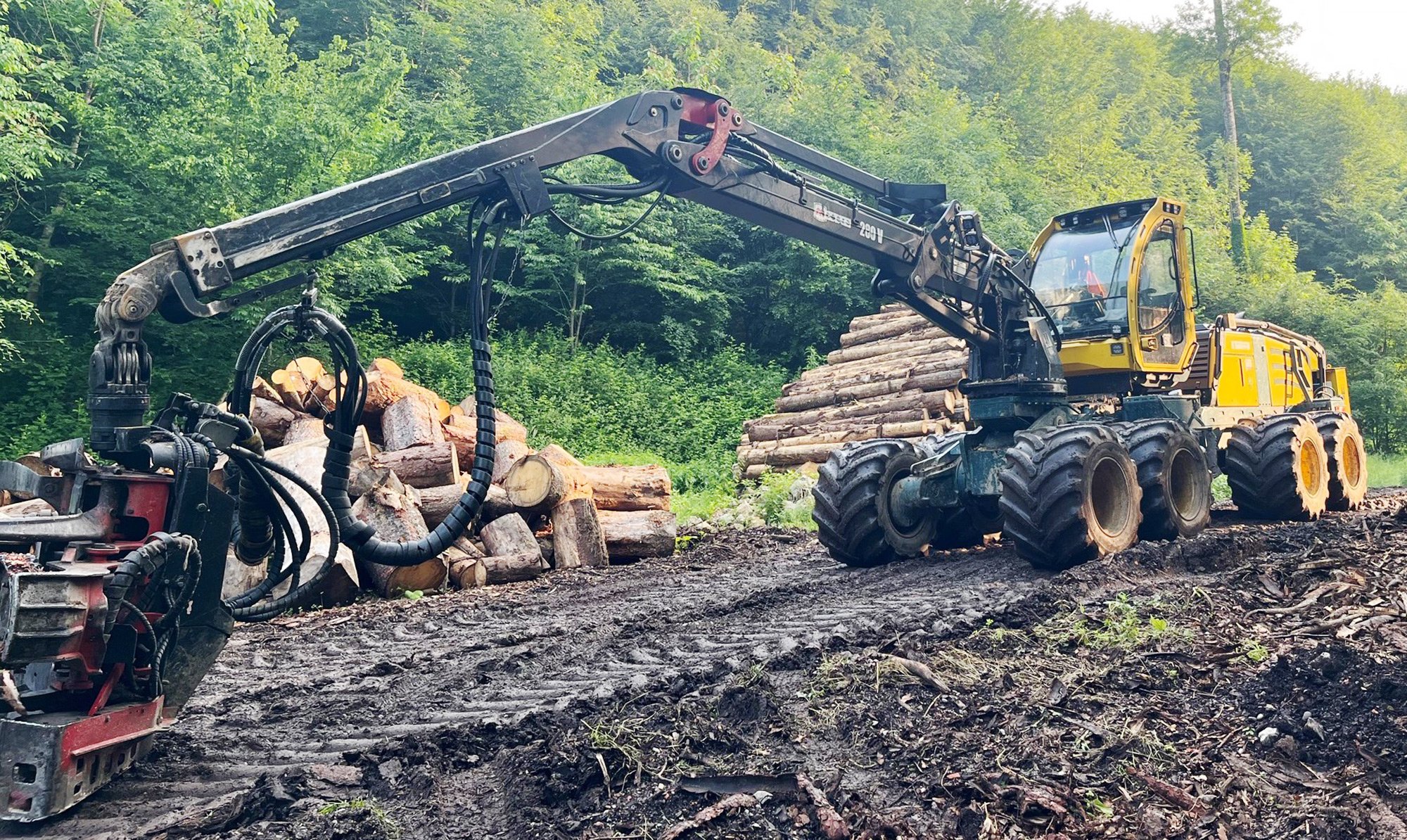 HSM_405H3_8WD_Steilhang_01 HSM_405H3_8WD_Steilhang_01